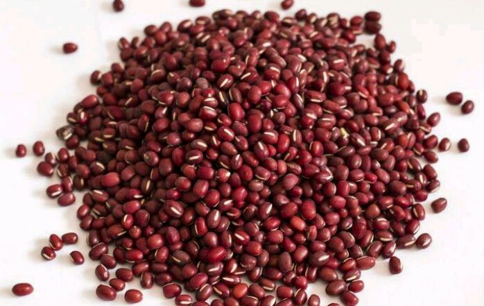 "红豆"生南国,春来发几枝!