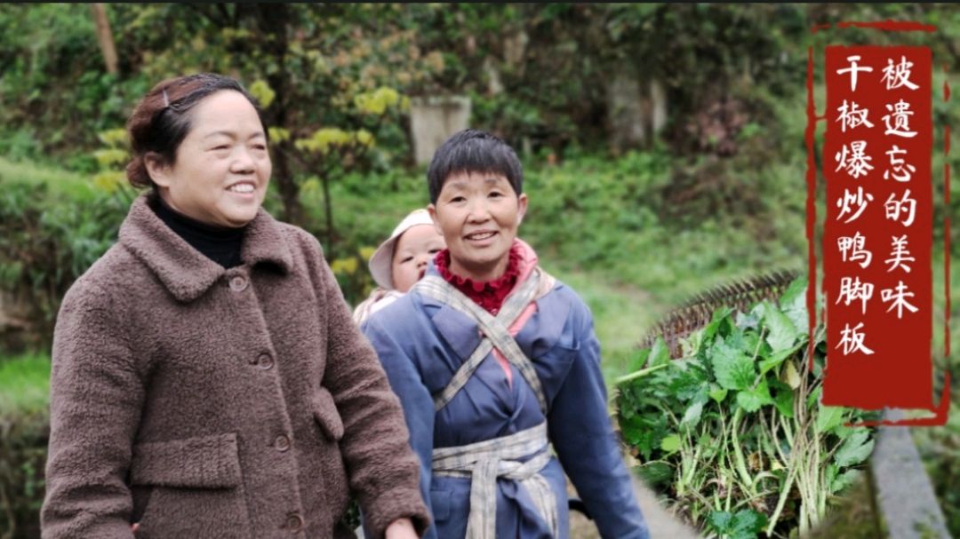 易妈妈探望友人,顺便挖了一篮子野菜,干辣椒炒鸭脚板太香了