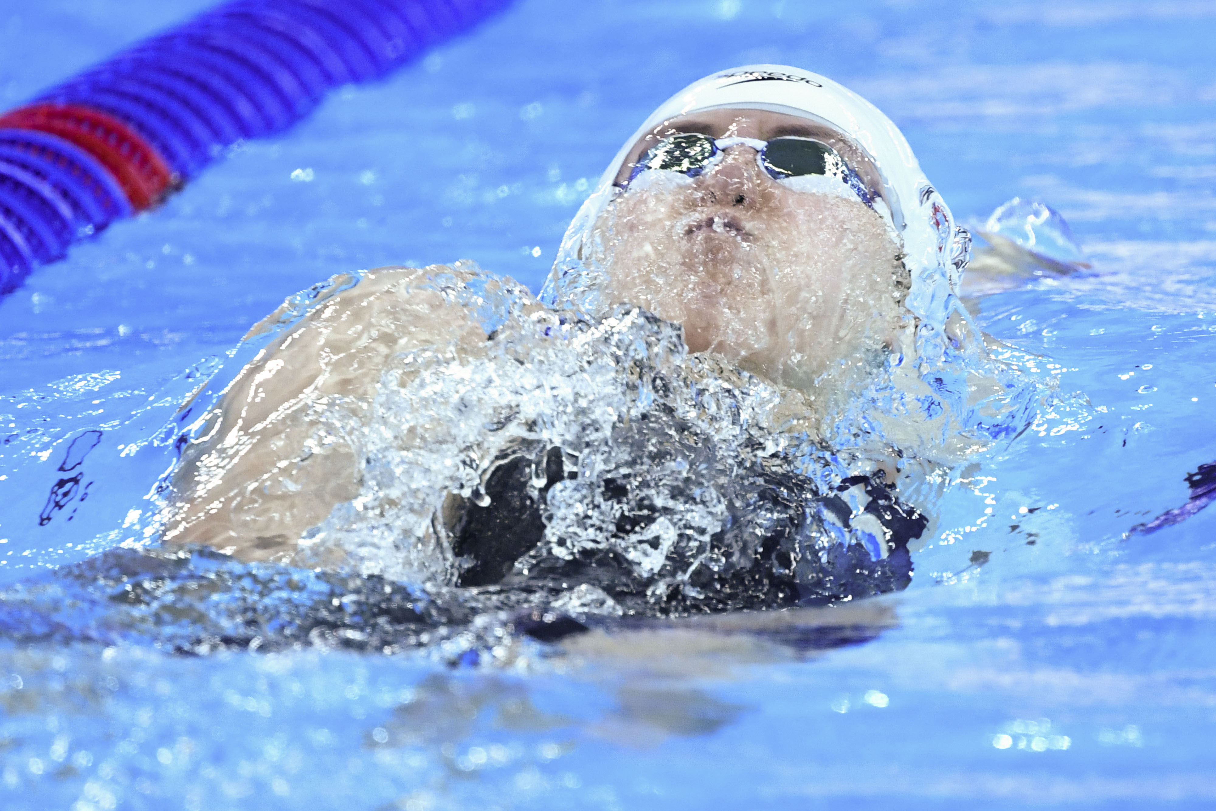 游泳——短池世锦赛:傅园慧无缘女子100米仰泳决赛(3)