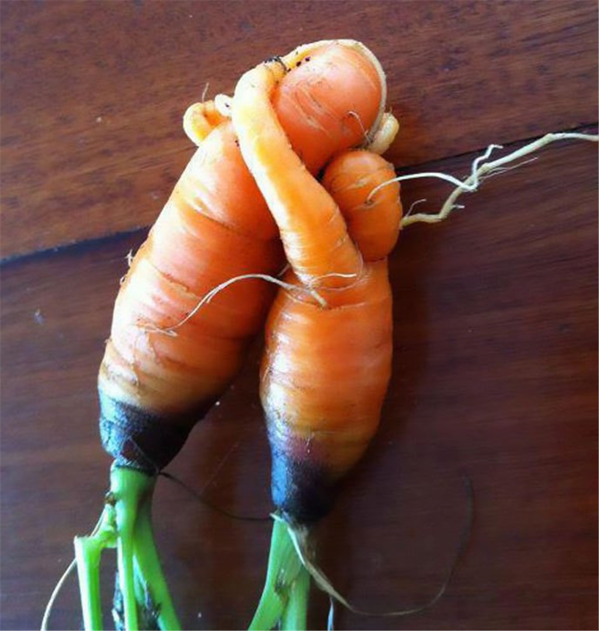 这些貌似成精的"果蔬",长相如此怪异,没人愿意吃它!