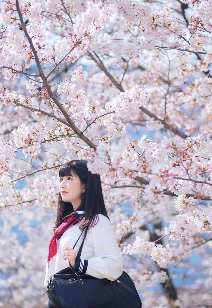女孩在樱花树下的照片图片