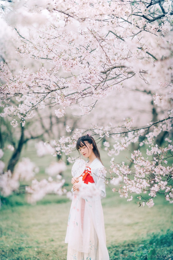 樱花树下唯美的古风少女