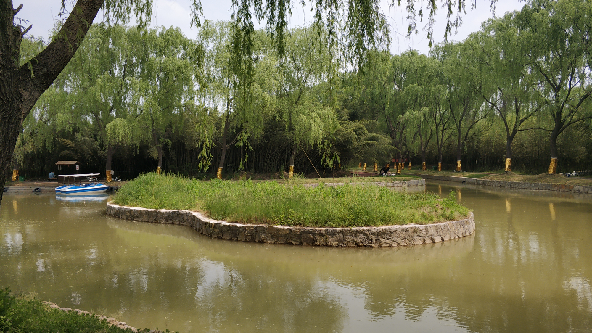 商丘森林公园里这个景点,游客体验不好,网友:名不副实,面积小