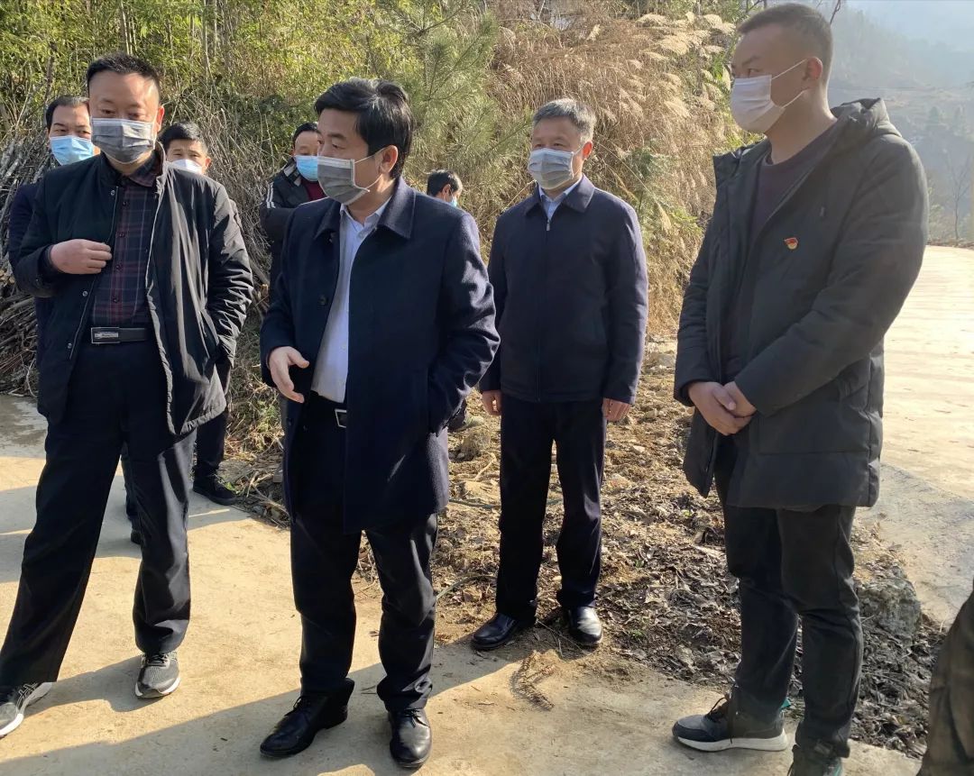 杨义龙到官元镇调研脱贫攻坚成果巩固提升工作