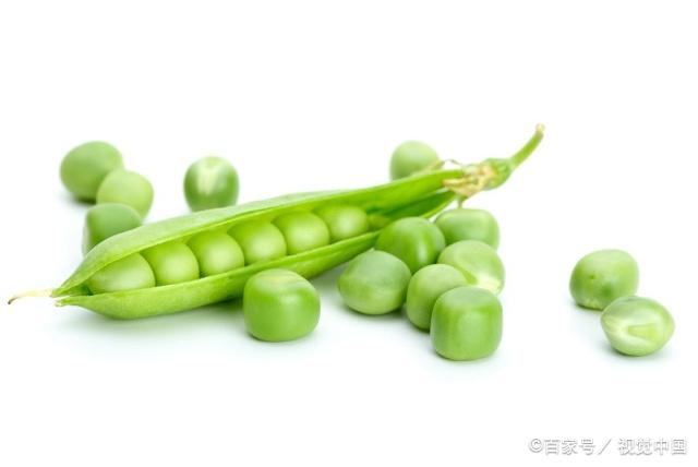 豌豆荚中躺着一粒粒小豆子,每一粒都含有丰富的营养物质