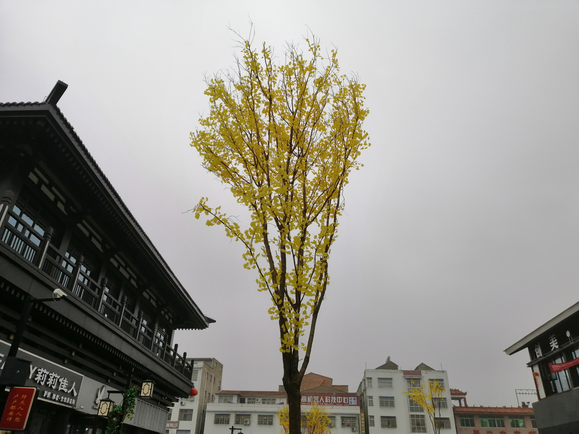 鹿邑明道城,高墙灰瓦的建筑下是现代化商铺,然而游客都流连忘返