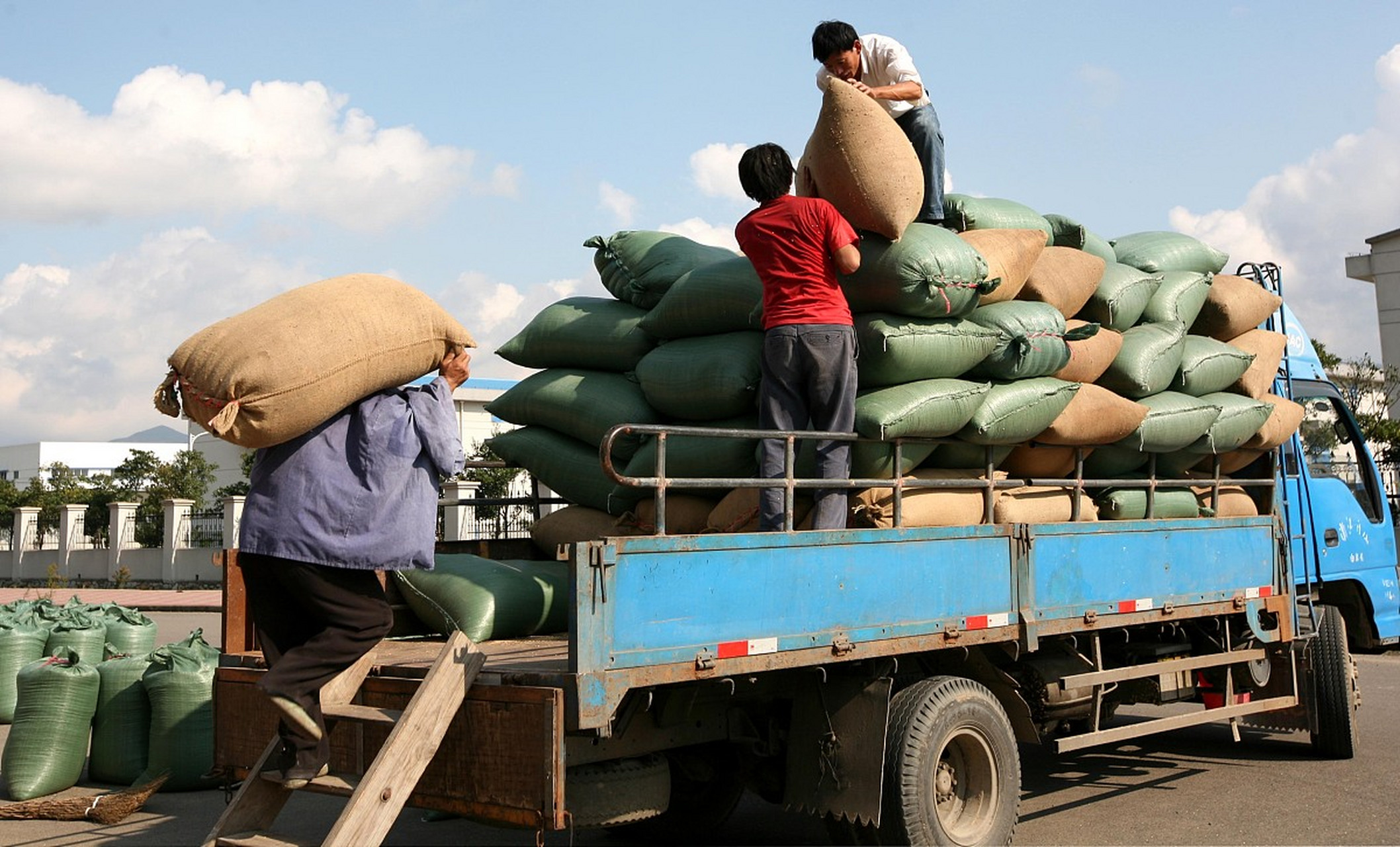 这样一来,那些进口的粮食和肉类,估计就没法跟我们本土的拼了
