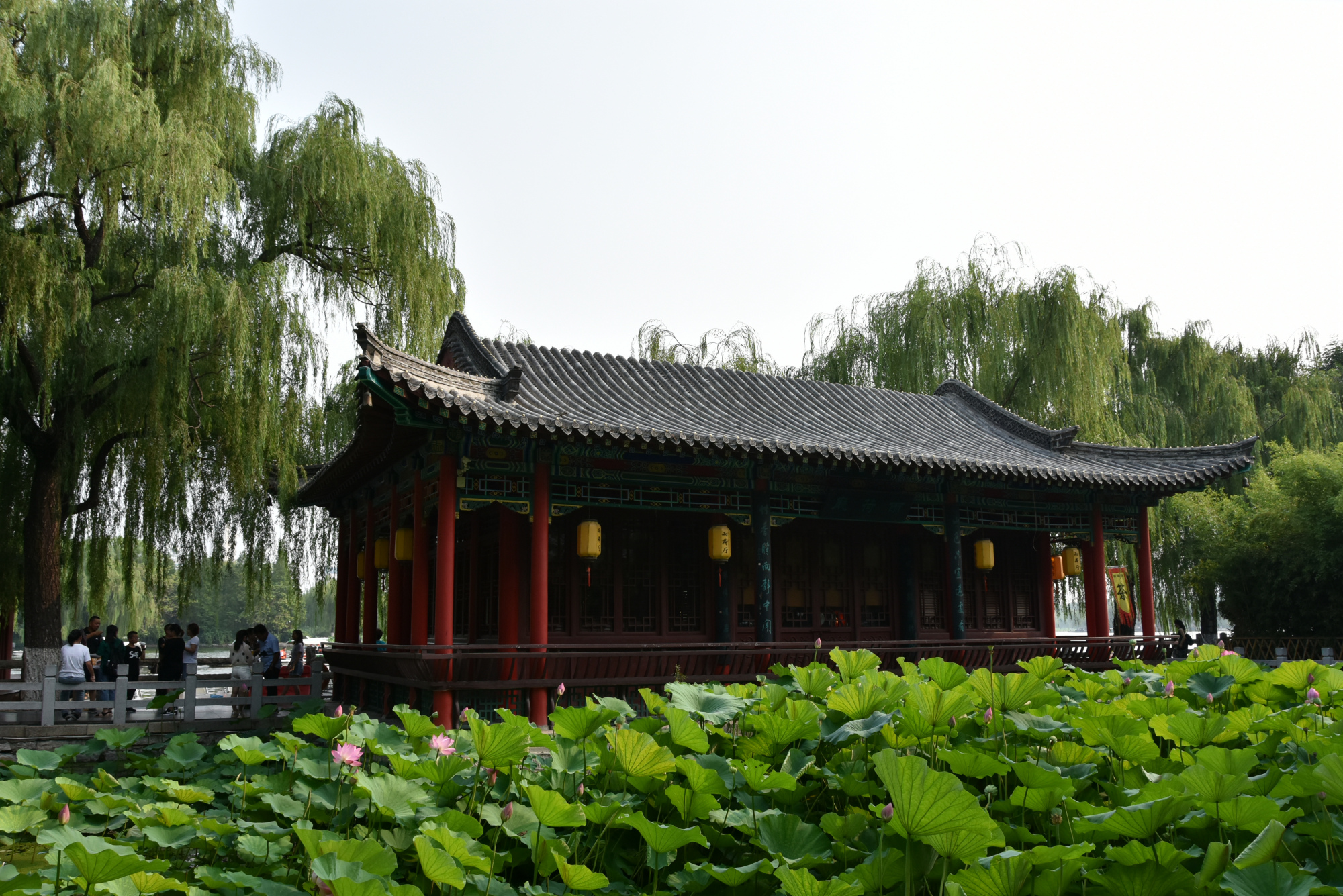 找尋大明湖畔的夏雨荷