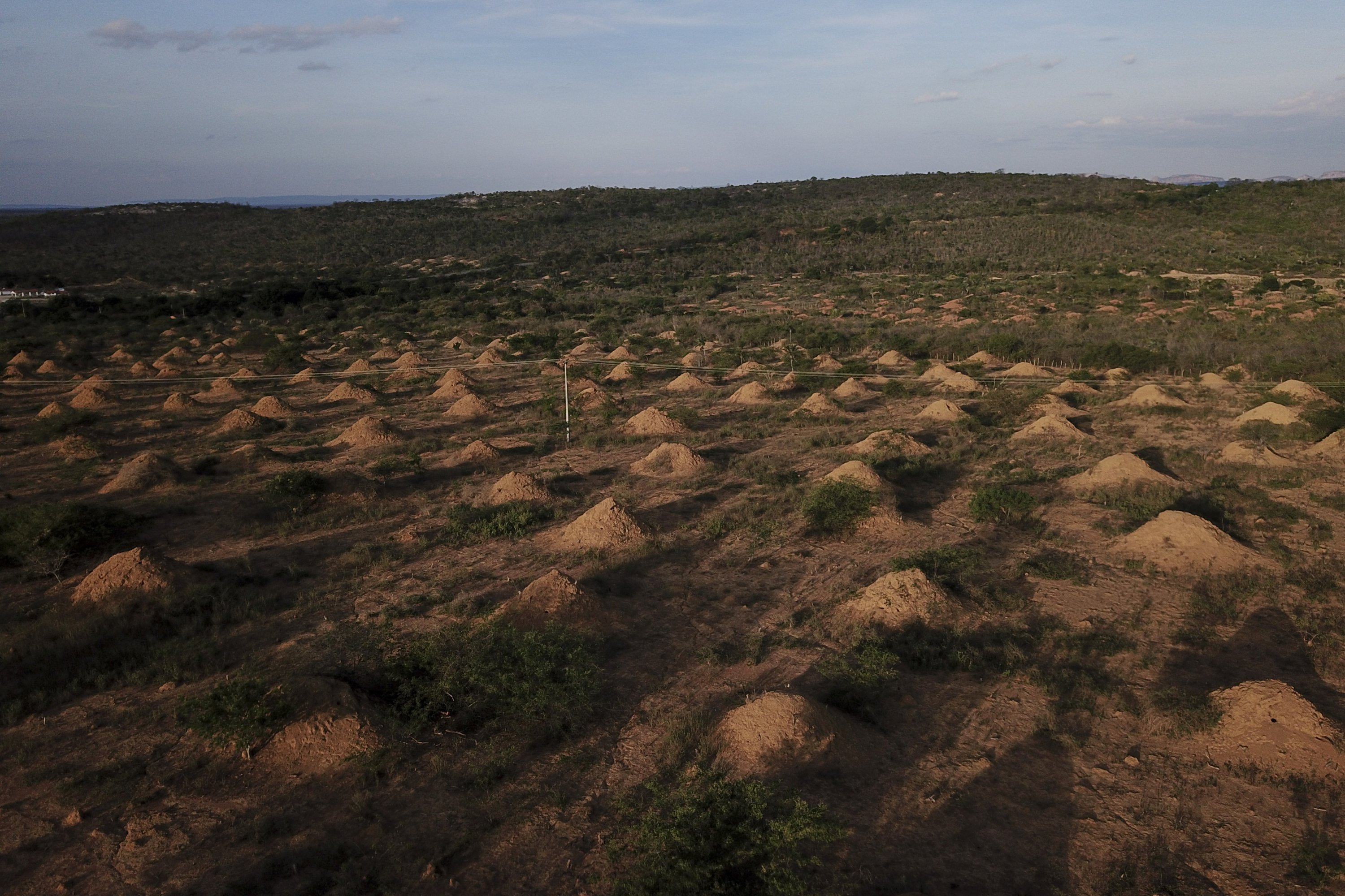 巴西发现4000年历史白蚁窝土丘群 面积相当于英国国土大小