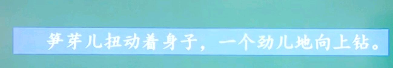 人教二年级语文下"我爱阅读"——《笋芽儿》