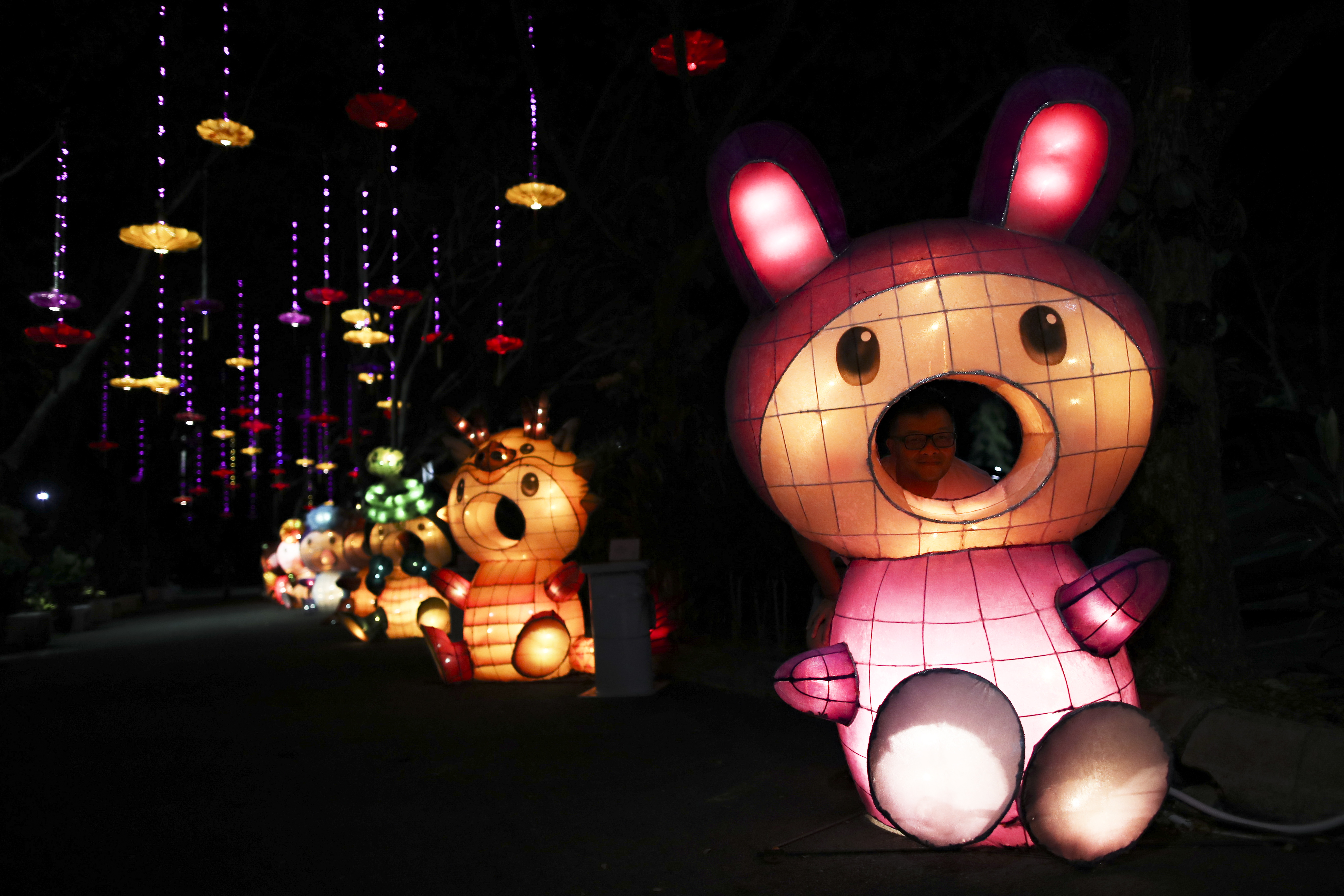 新华社照片,外代,2019年2月2日    (外代二线)