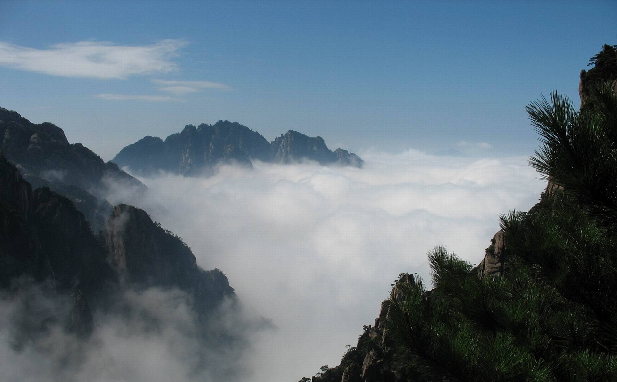 在我们眼前呈现的是一片无比壮丽,无比丰富的大自然的面貌!