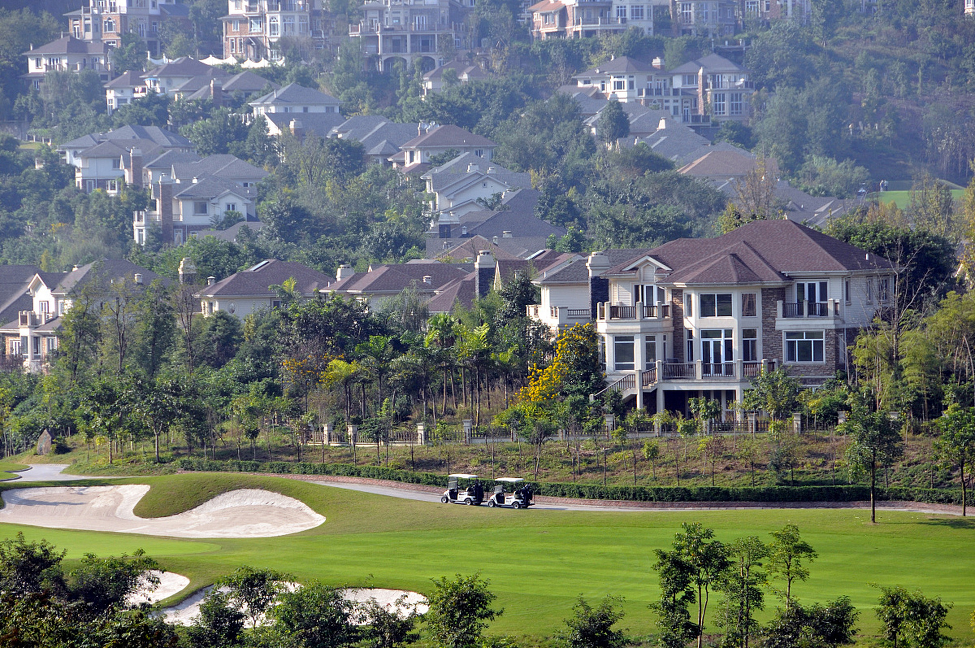 动态创作月# #藏不住的双流#  成都双流区牧马山上不仅有着千年古树