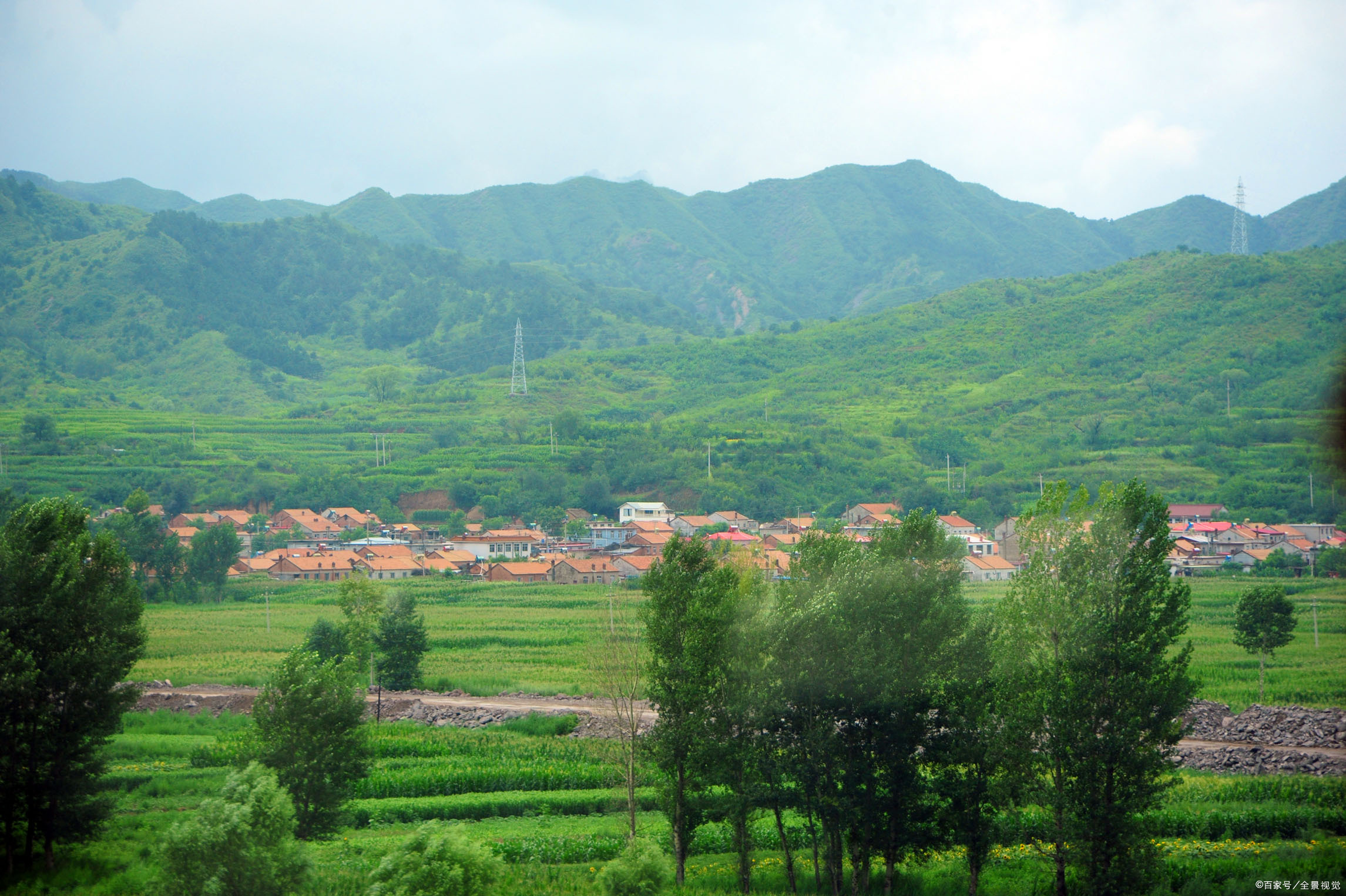 四川江油3村民遭黑熊袭击遇难:保证农村安全必须革除惯性思维