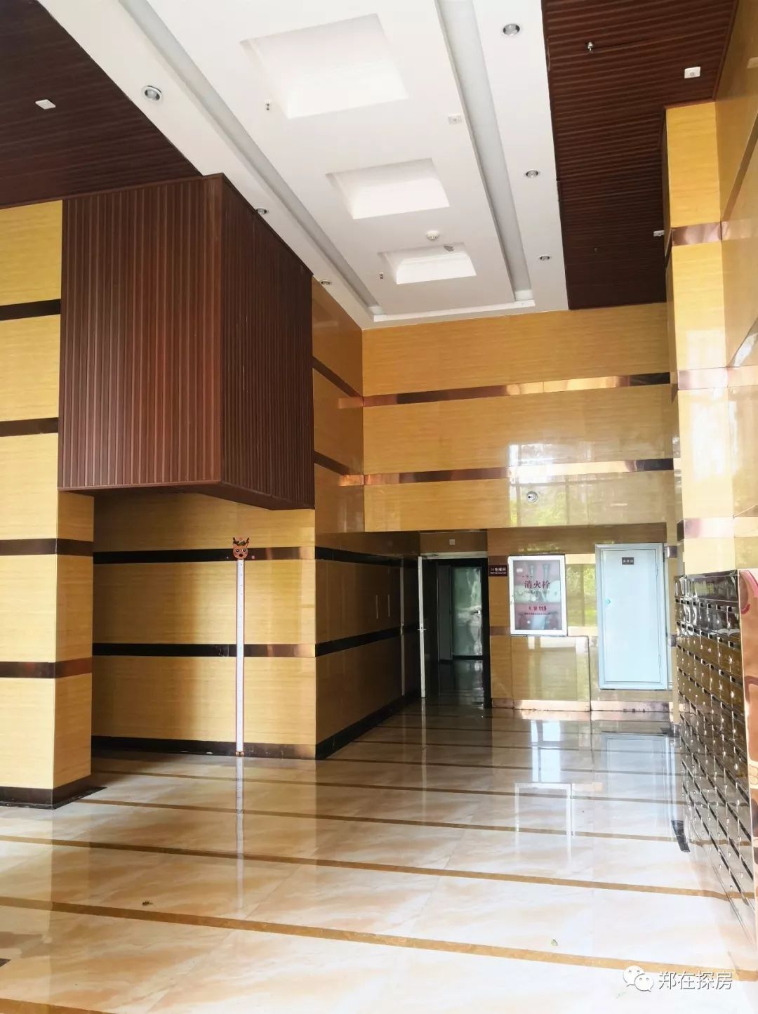 郑州昌建誉峰|60年的参天大树,你在小区里见过吗?