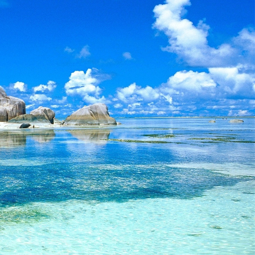 原君 黄宗羲写的一篇文章 百度百科