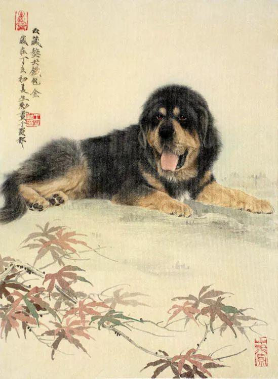 王申勇|用画笔定格了动物传神的瞬间