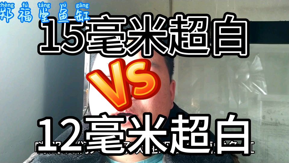 15毫米超白和12毫米超白的区别以及价位,和使用