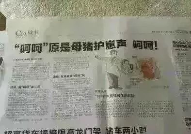 每日一笑:"呵呵"是母猪护崽的声音,真是妙啊