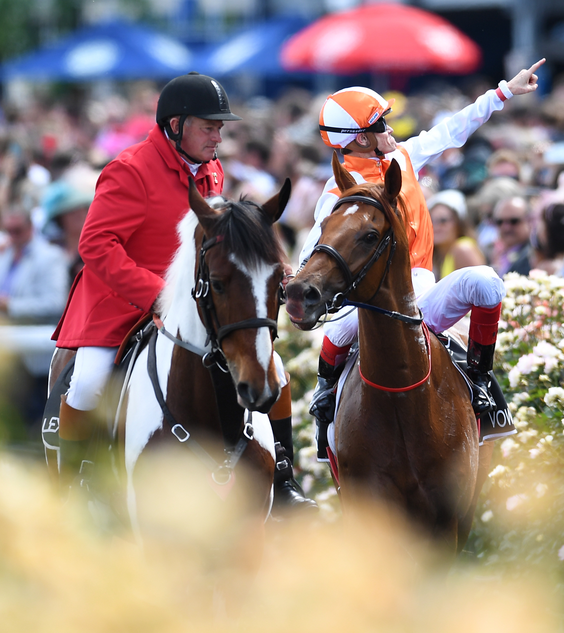 赛马——墨尔本杯:澳大利亚骑手夺冠(3)