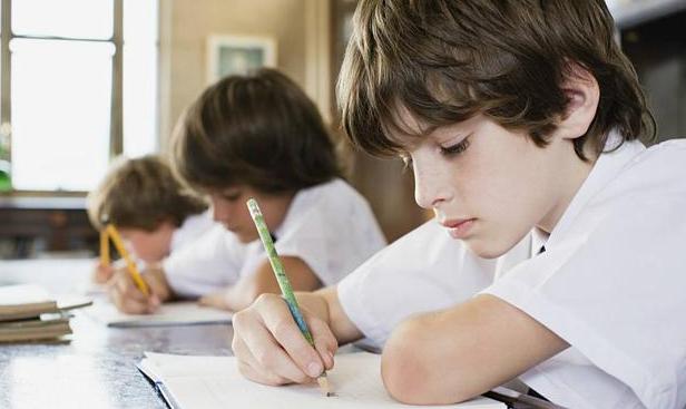 孩子学习总没记性怎么办?认知心理学:记忆力可以系统培养