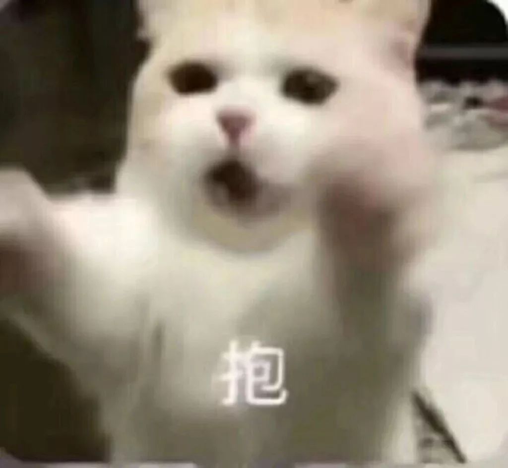 这是表情包 66分钟前 小仙女,辣条,死党,学霸 小仙女:睡醒了要抱抱