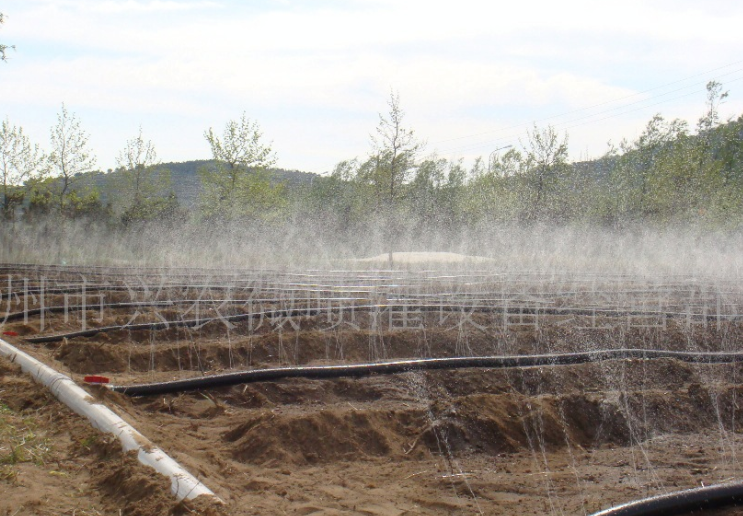 污水喷灌技术大家可能知道,那你知道喷灌洗盐和膜上灌吗?