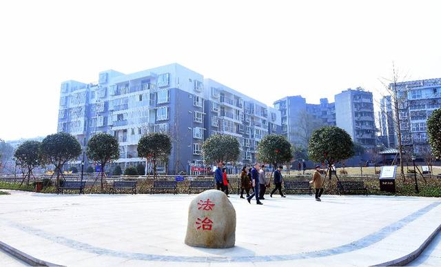 荣誉 1!双流黄甲街道,九江街道,协和街道……又又又获奖了!