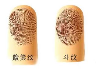 手指有几个斗的人,天生就是劳碌命,有钱一样忙碌!