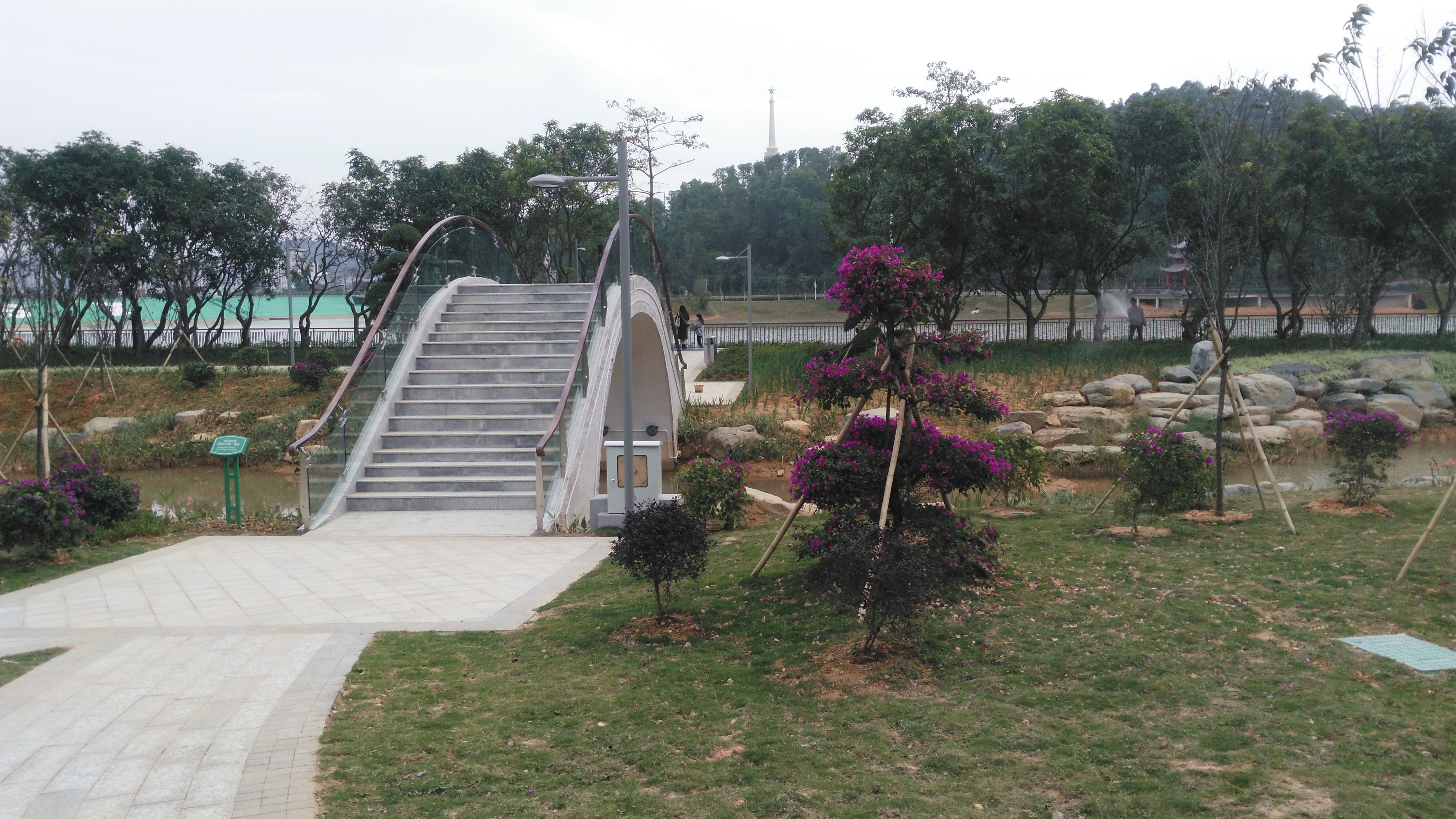 深圳龙岗大运公园经过改造升级,现在变得越来越美了