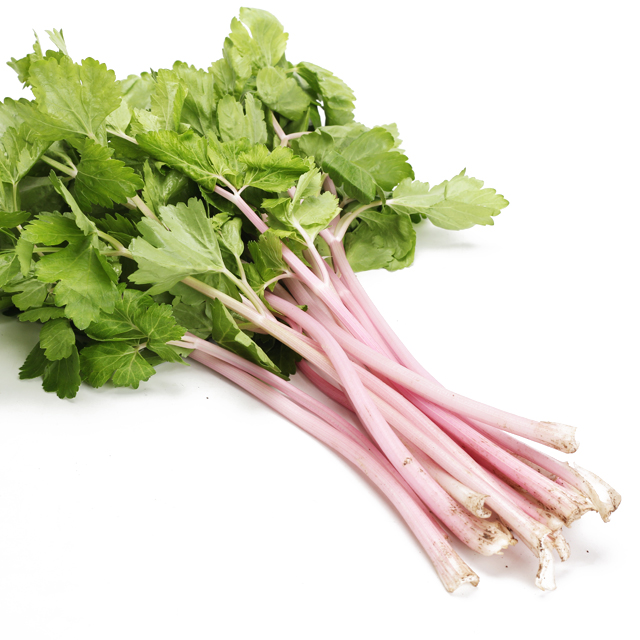 芹菜为冷凉型蔬菜,适宜在冬春季节生长,但为了满足市场及四季栽培需求