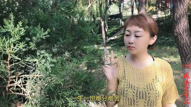 [图]经典情歌对唱《情哥哥情妹妹》歌词太浪漫，歌美曲美，太好听了