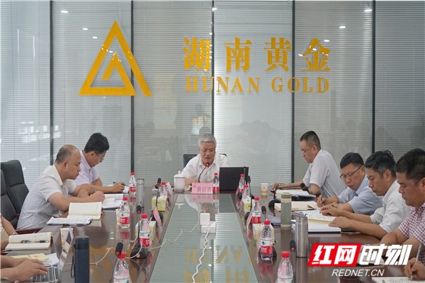 湖南黄金集团领导班子围绕"不忘初心,牢记使命"主题教育讲专题党课