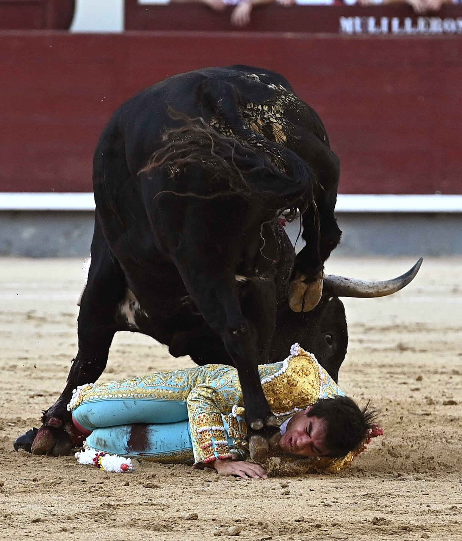 西班牙马德里斗牛