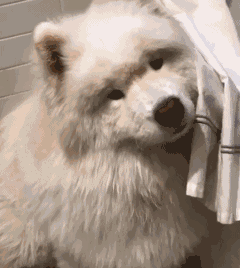 看在你这么可爱的份上,就饶了你吧