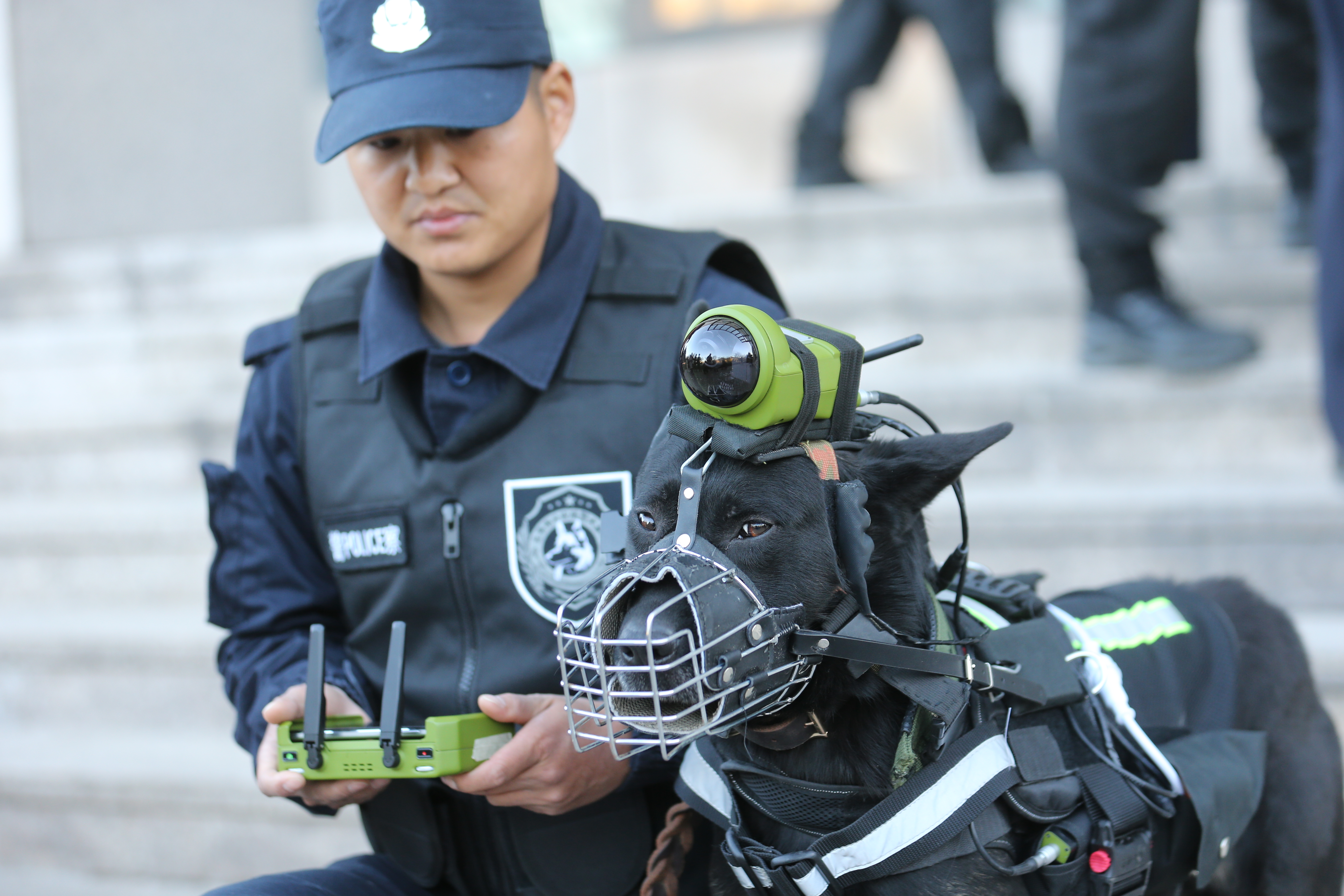 中国警犬最新装备图片