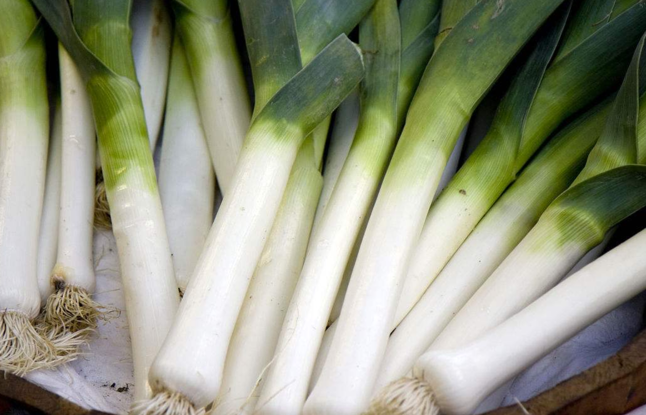 蒜苗- 优质图片专区