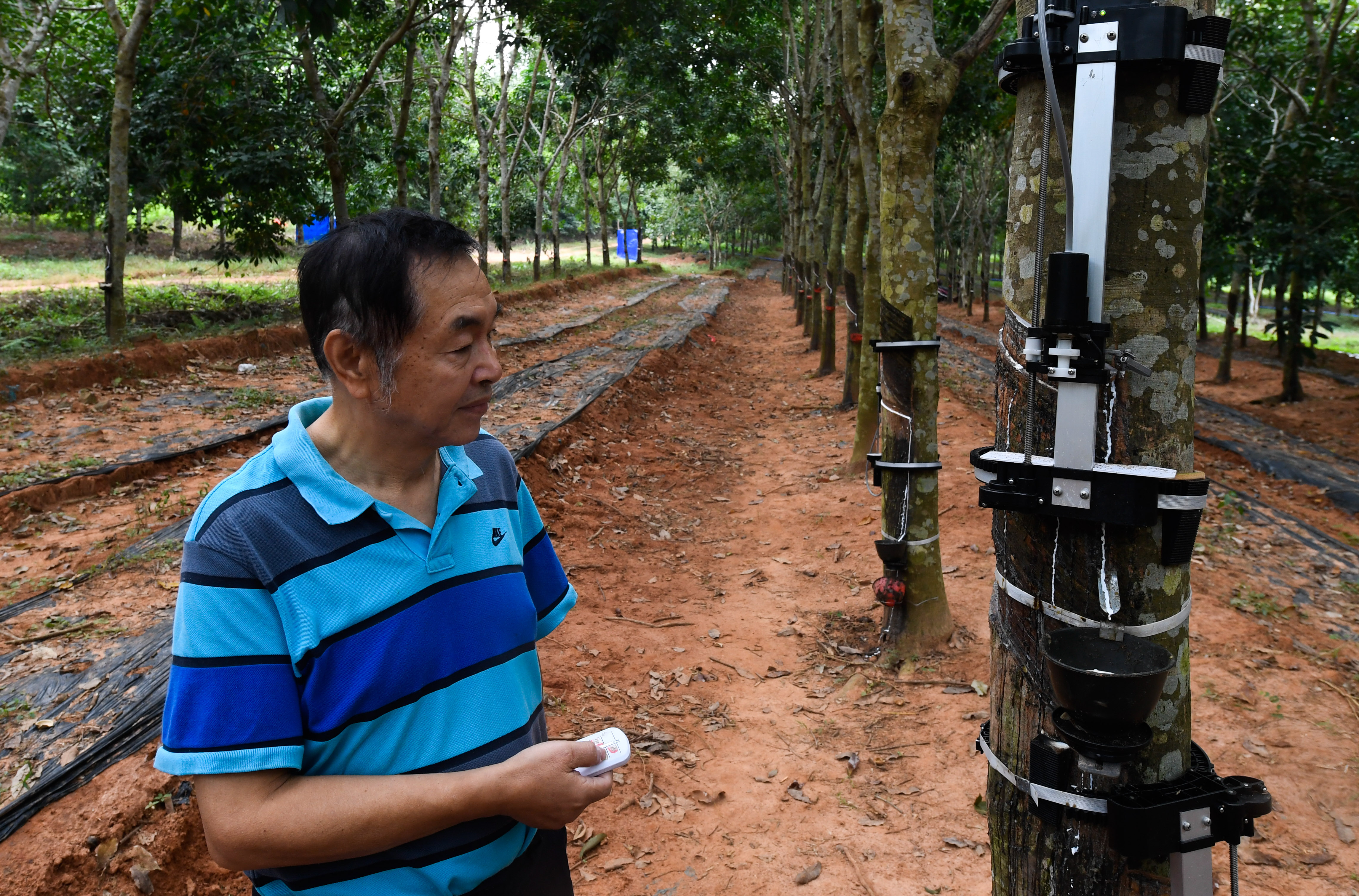 割胶"黑科技"助力天然橡胶生产自动化(7)