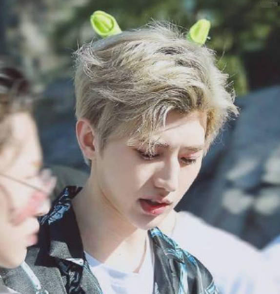 明星最经典的"错位照",黄磊头发很茂密,蔡徐坤才是最可爱的!