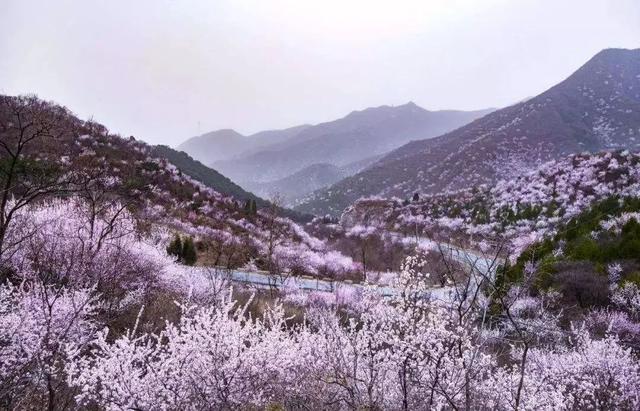 在北京昌平区东北部, 昌平区唯一的深山区, 是美丽的延寿镇, 它地处