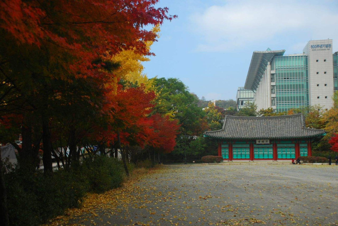 韩国旅行说首尔篇,成均馆大学之带你去看一看韩式古风的校园