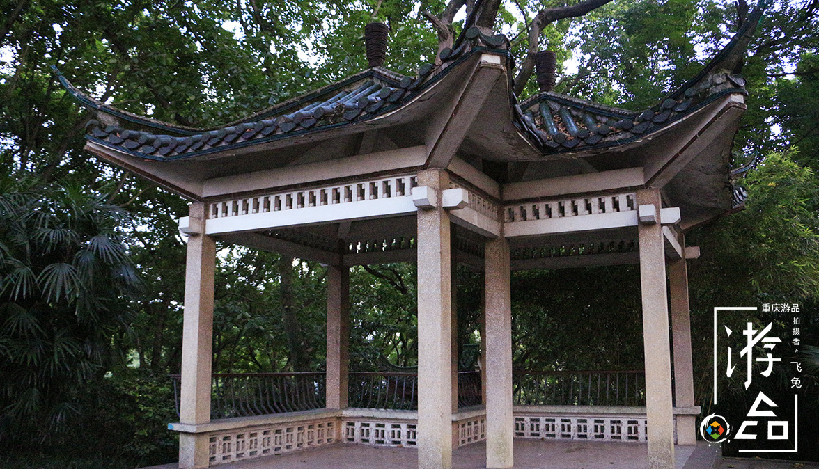 "快递小哥"遇上"外卖长老",重庆金竹寺传说的另类解读