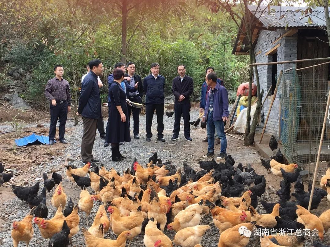政府扶贫项目养殖有哪些(政府扶贫项目养殖有哪些补贴)