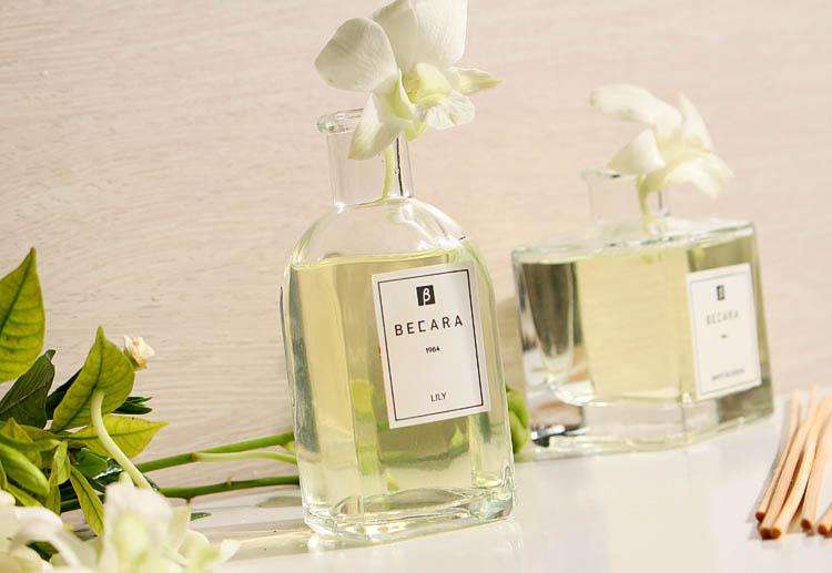 植物芳香油知多少?知之甚少,学而不怠