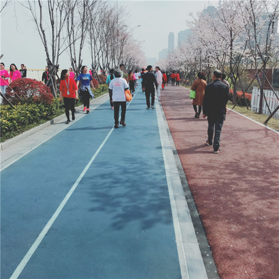 滨江"最美跑道"今天上演浪漫"樱花跑"
