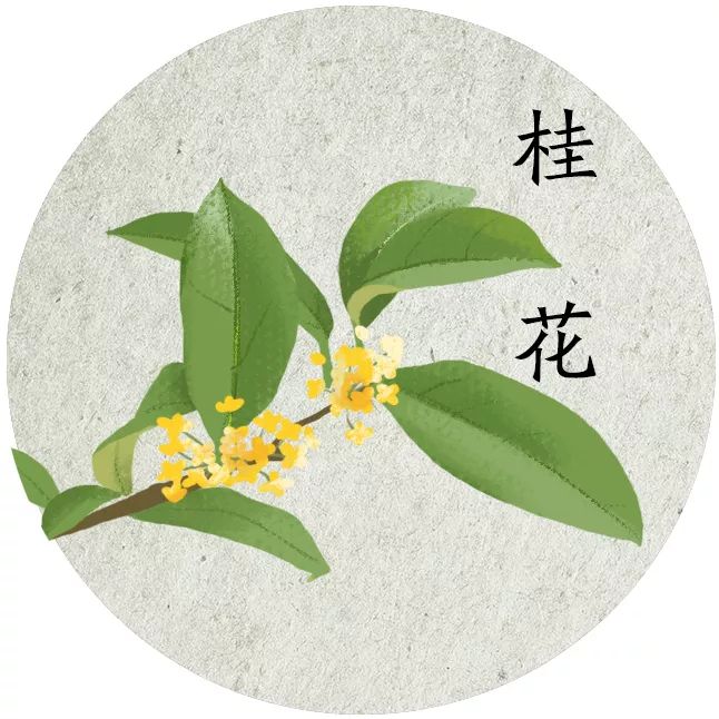 明天寒露,小布給你加菜啦:菊花鱸魚羹,拔絲桂花山藥