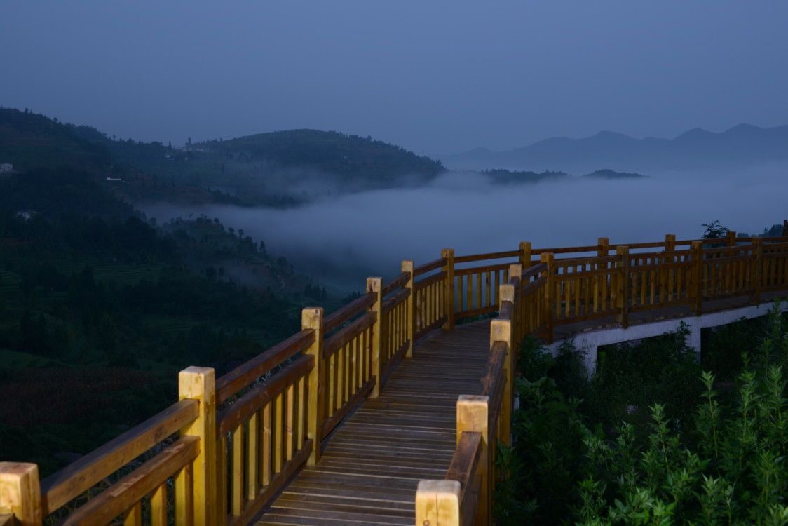 油菜花 民宿|在红渡,遇见最撩人的春天