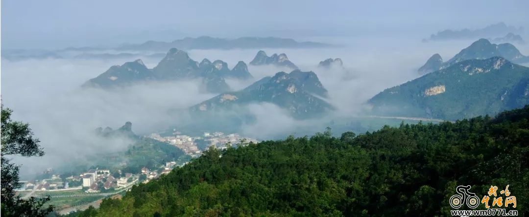 堪比仙境的武鳴大明山,霧雨朦朧時等你來相約