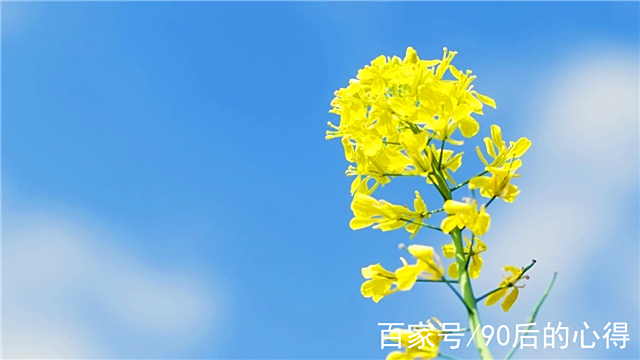 旅行好心情的句子(旅行好心情的句子短句)