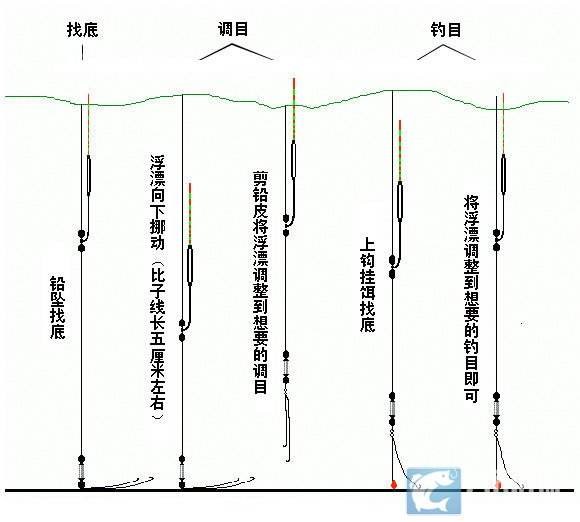 水温最适合鱼儿栖息,所以我们只能钓深了,而在这个情况"调四钓二"同样